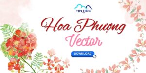Tải Hình Ảnh Hoa Phượng Vector Đẹp, Tách Nền PNG