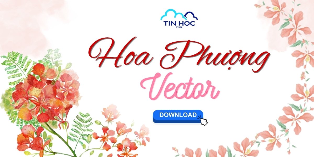 Tải Hình Ảnh Hoa Phượng Vector Đẹp, Tách Nền PNG